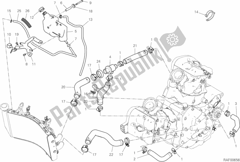 All parts for the Cooling Circuit of the Ducati Hypermotard 950 SP 2019